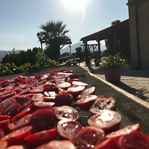https://donna-giovanna.sicilyhotelsitaly.net